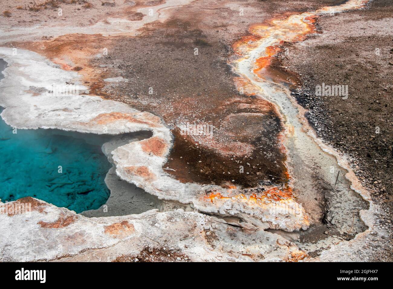 Blue star Spring, Upper Geyser Basin, parc national de Yellowstone, Wyoming Banque D'Images