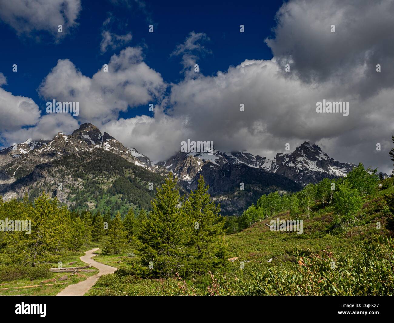 Parc national de Grand Teton, Bradley Taggart Trail, Wyoming Banque D'Images