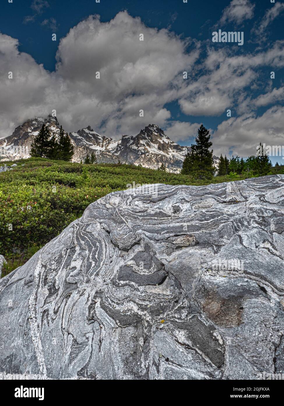 Parc national de Grand Teton, roche striée et texturée près de Bradley Taggart Trail, Wyoming Banque D'Images