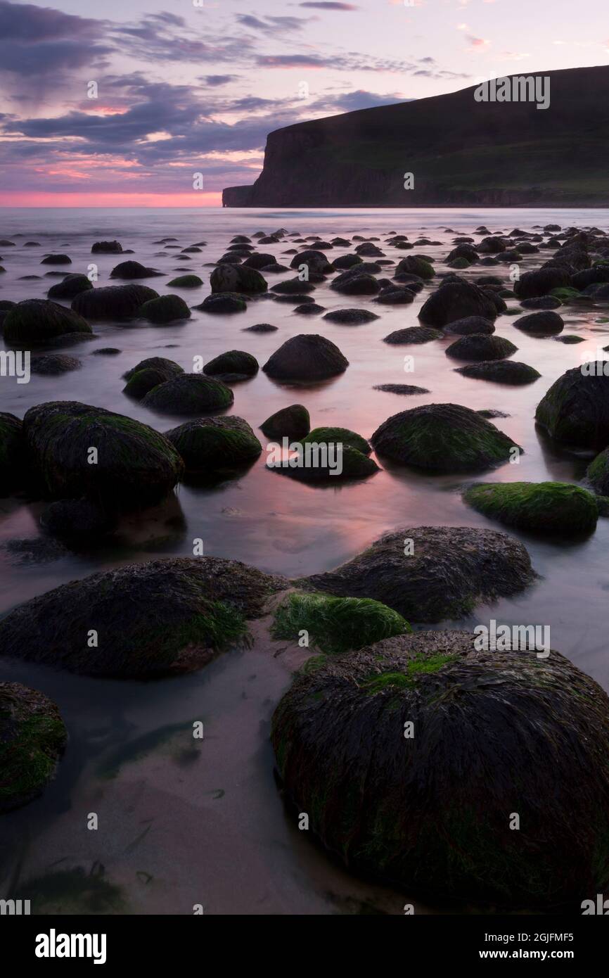 Des rochers recouverts d'algues à Rackwick Bay, dans les îles Orcades Banque D'Images