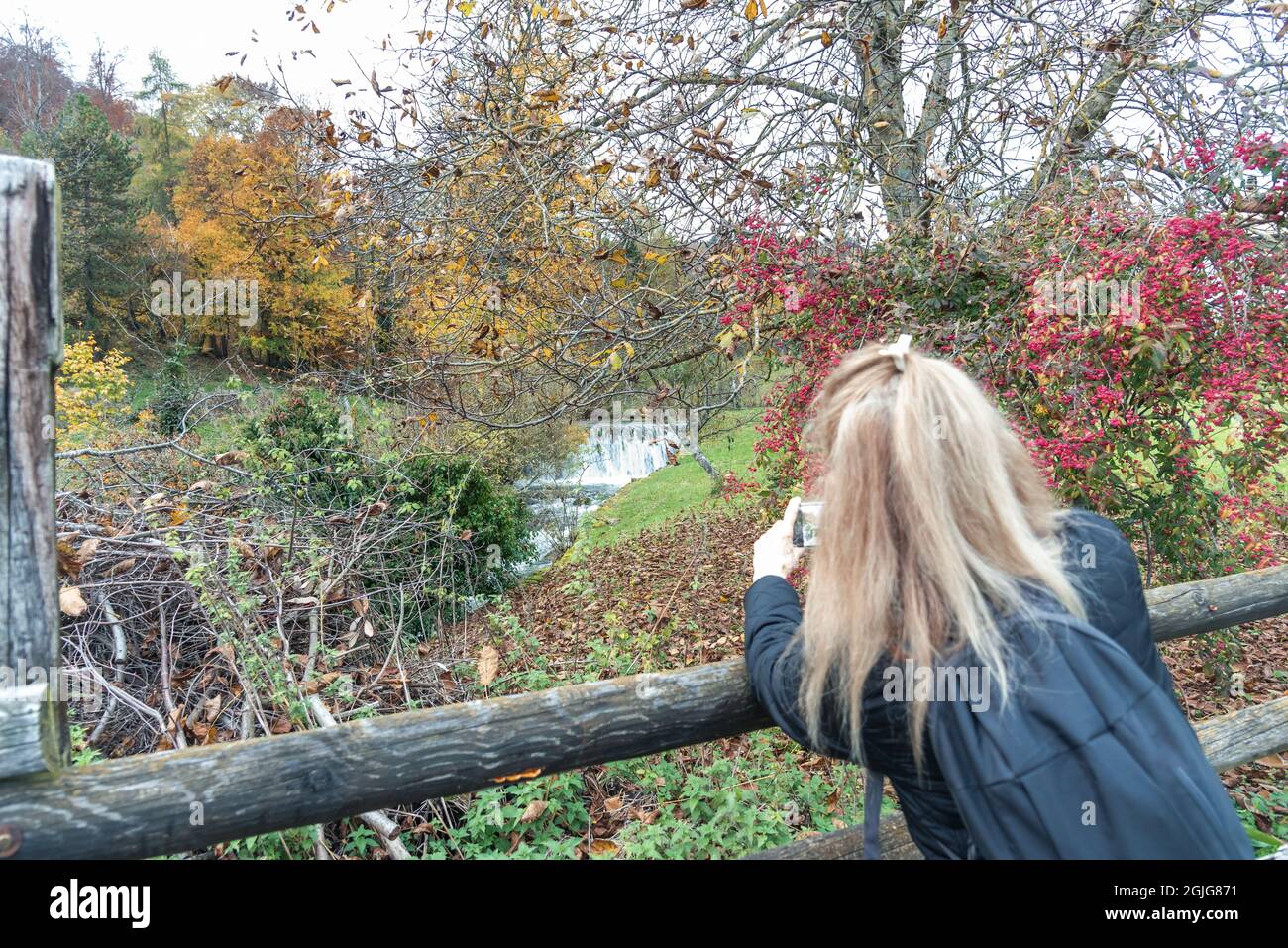 Femme caucasienne prenant une photo avec son téléphone portable à partir d'un pont en bois d'un ruisseau dans une forêt Banque D'Images