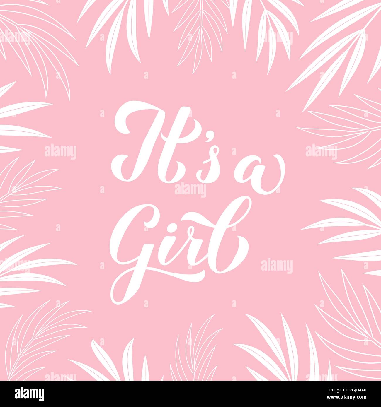 C'est une jeune calligraphie lettrage sur fond rose avec des feuilles de palmier. Affiche de révélation de sexe. Décorations de douche de bébé. Modèle vectoriel pour invitation, gr Illustration de Vecteur