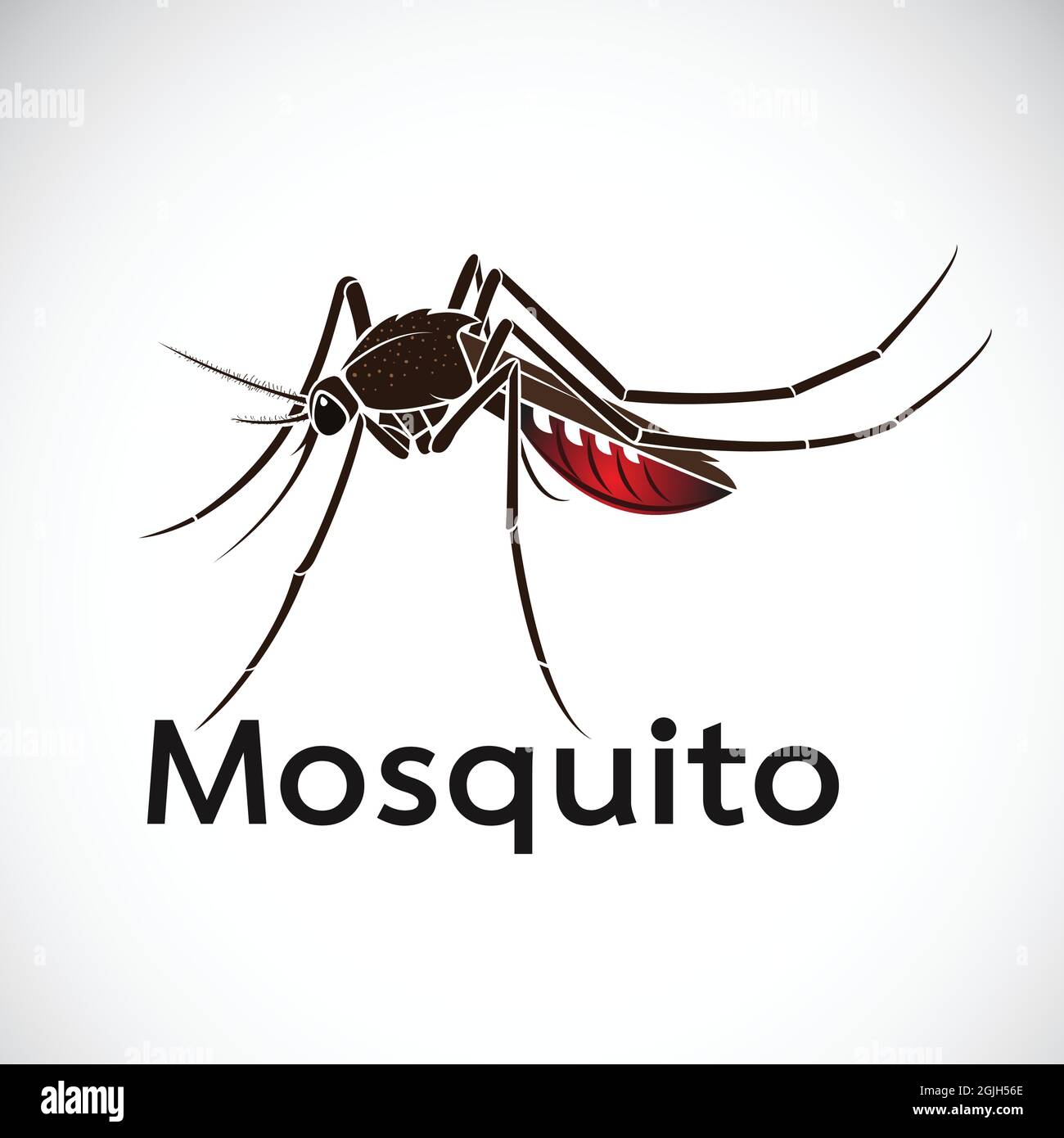 Vecteur d'un motif moustique sur fond blanc. Insecte. Animal. Illustration vectorielle superposée facile à modifier. Illustration de Vecteur