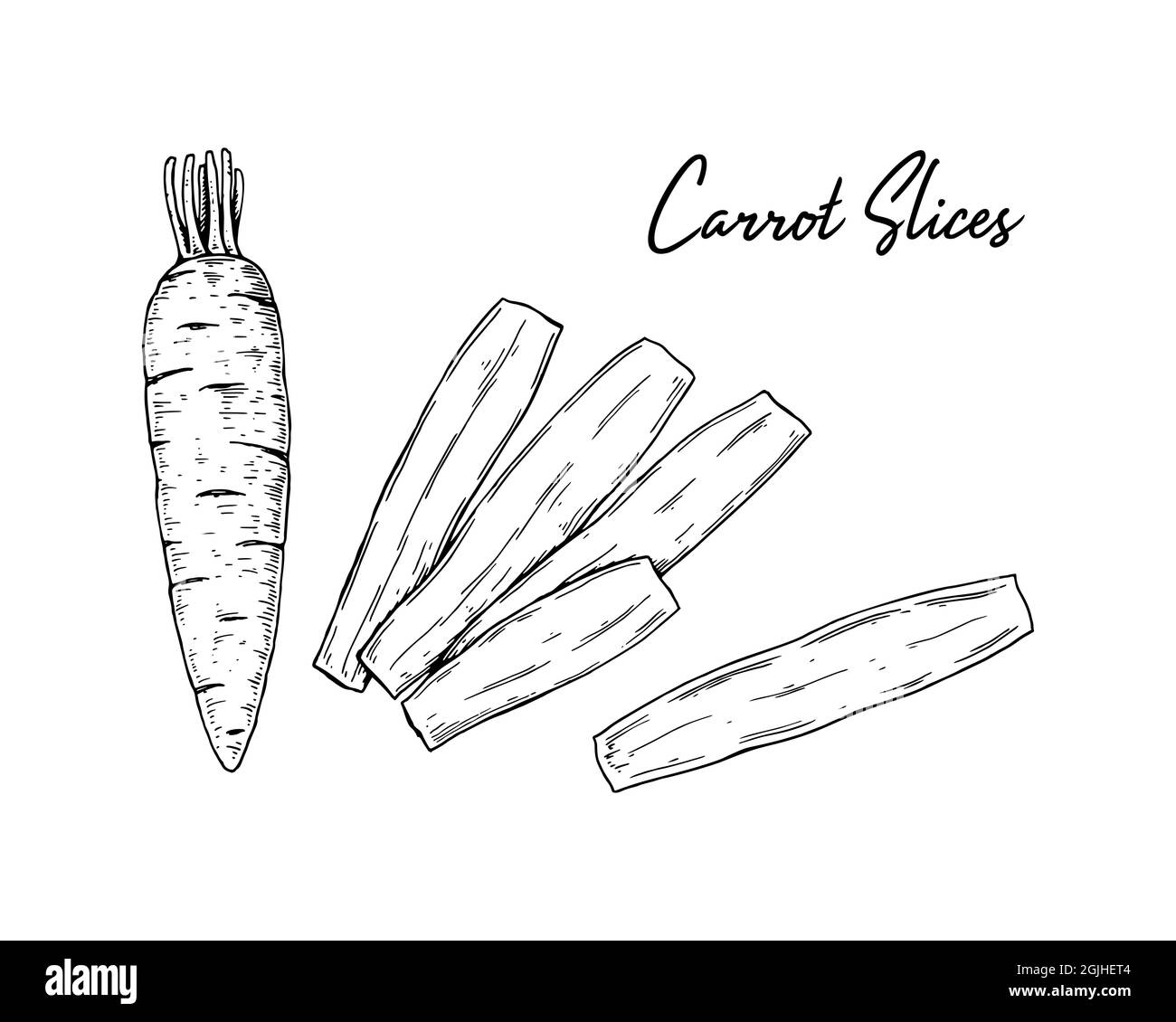 Tranches de carottes dessinées à la main. Illustration vectorielle dans le style d'esquisse Illustration de Vecteur