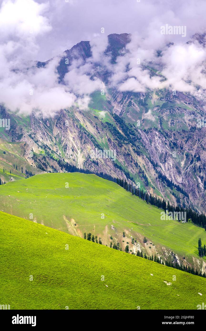 Paysage avec montagnes, prairies et nuages. Vue horizontale sur les arbres alpins sereins du Cachemire Grands Lacs Trek, Jammu et Cachemire, Inde. Banque D'Images