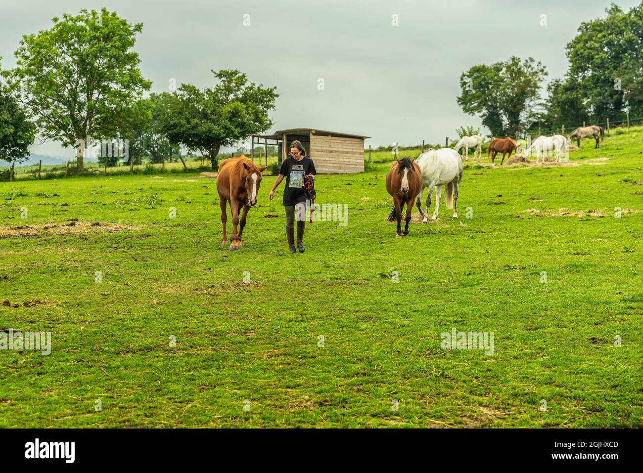 La horsewoman accompagne son cheval à la préparation avant le tour. Lyon, France, Europe Banque D'Images