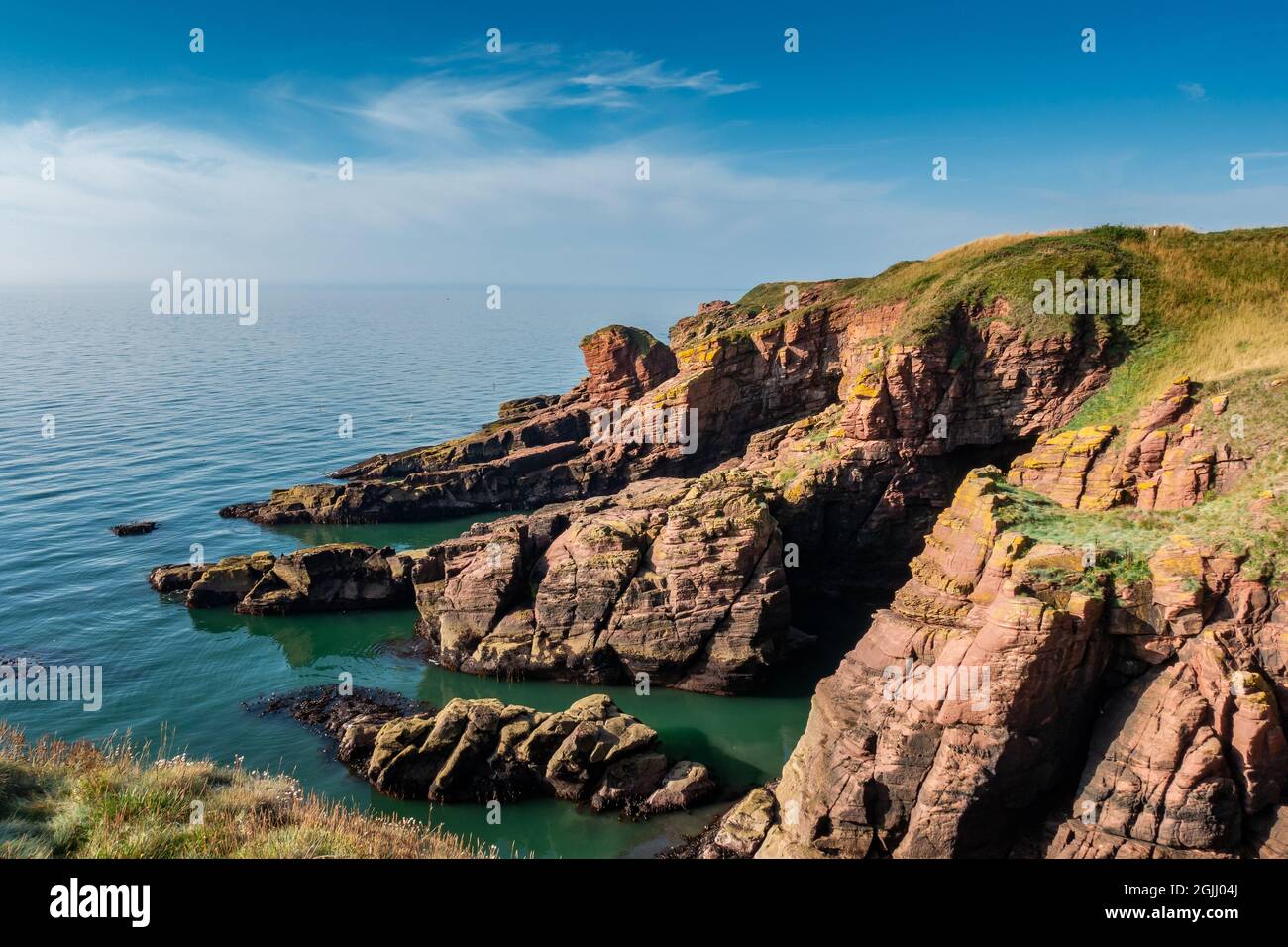 Falaises de grès le long du sentier côtier Angus près de la ville d'Arbroath, Angus, Écosse Banque D'Images