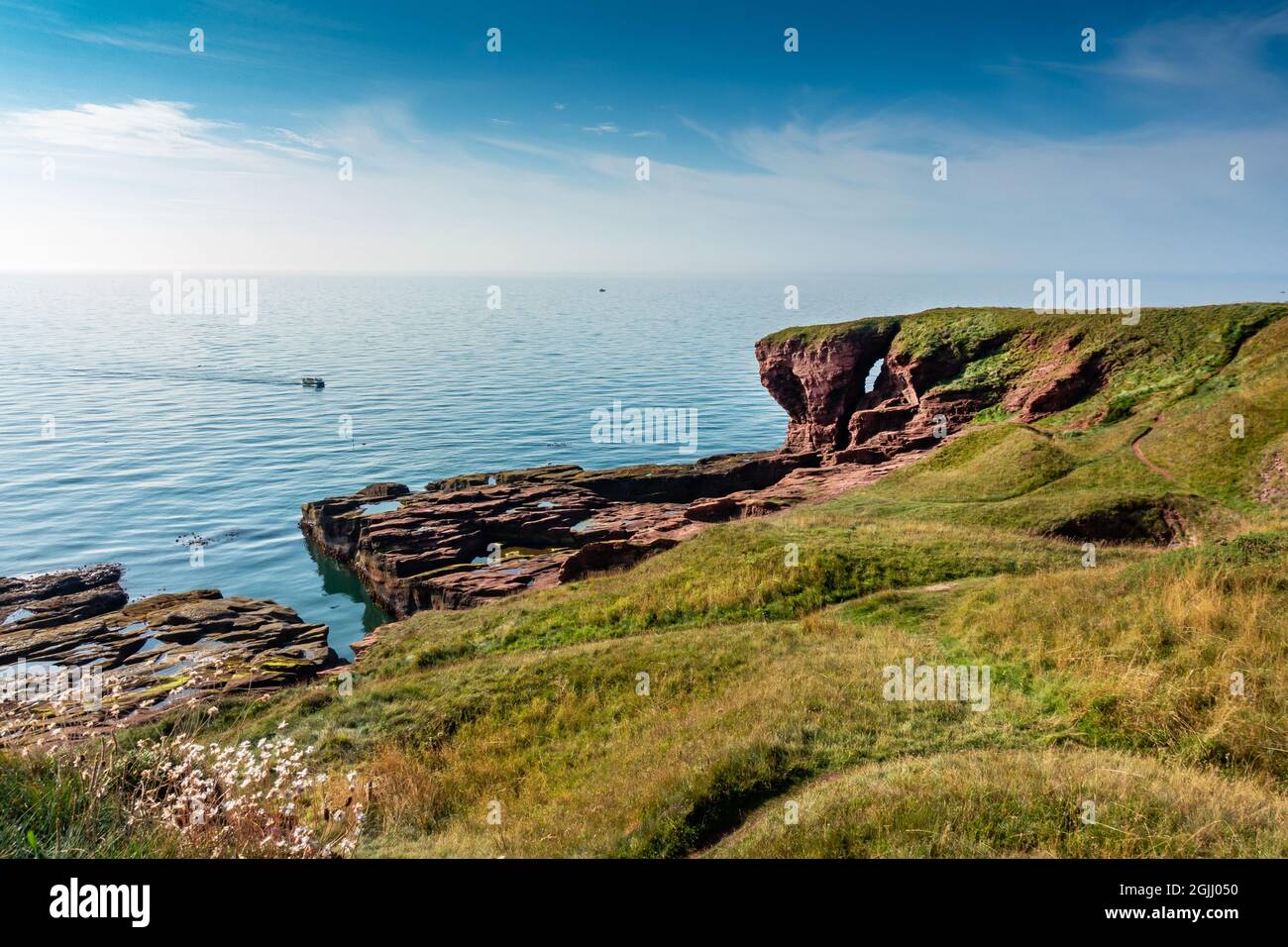 Falaises de grès le long du sentier côtier Angus près de la ville d'Arbroath, Angus, Écosse Banque D'Images