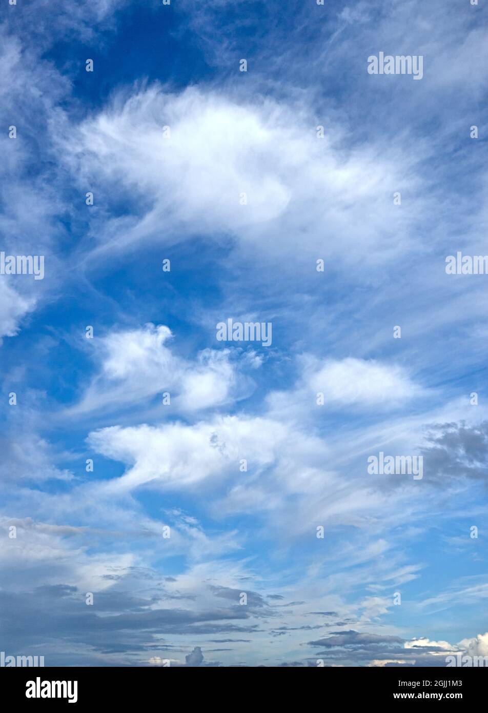 Nuages de cirrus élevés dans un ciel d'été au-dessus du Royaume-Uni Banque D'Images