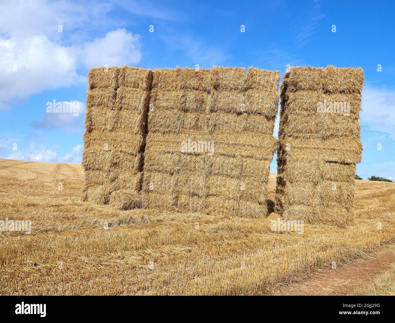 Grande haystack dans un champ à Gloucestershire Royaume-Uni Banque D'Images