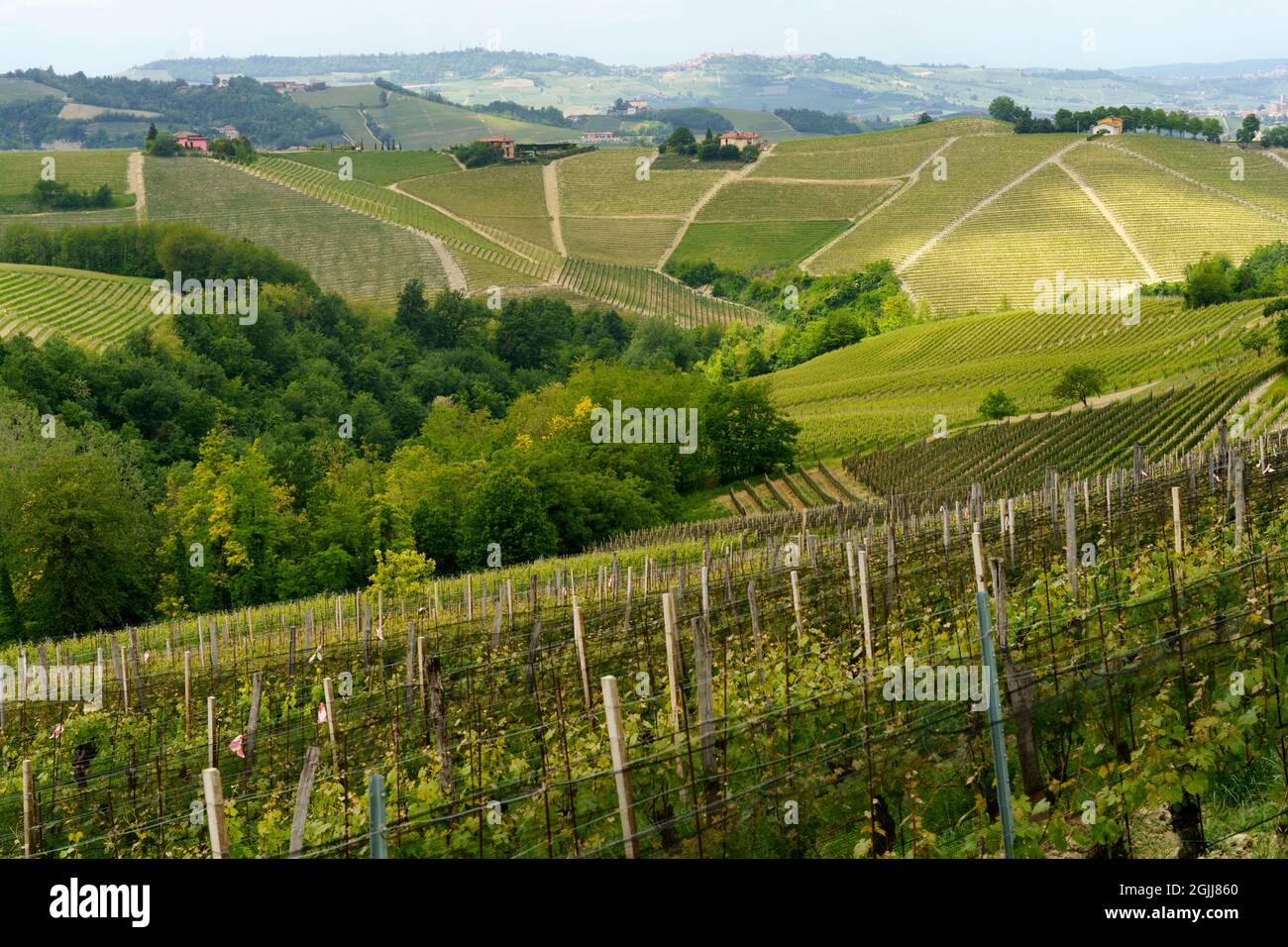 Paysage rural au printemps à Langhe près de Dogliani, province de Cuneo, Piémont, Italie, site du patrimoine mondial de l'UNESCO. Banque D'Images