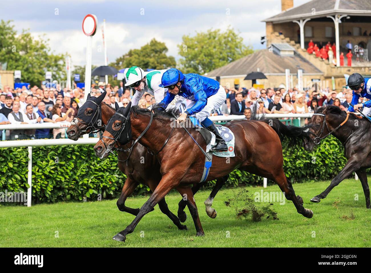 No 8 Noble Truth criblé par William Buick remporte les enjeux de Cazoo Flying Scotsman, le 9/10/2021. (Photo de Mark Cosgrove/News Images/Sipa USA) crédit: SIPA USA/Alay Live News Banque D'Images