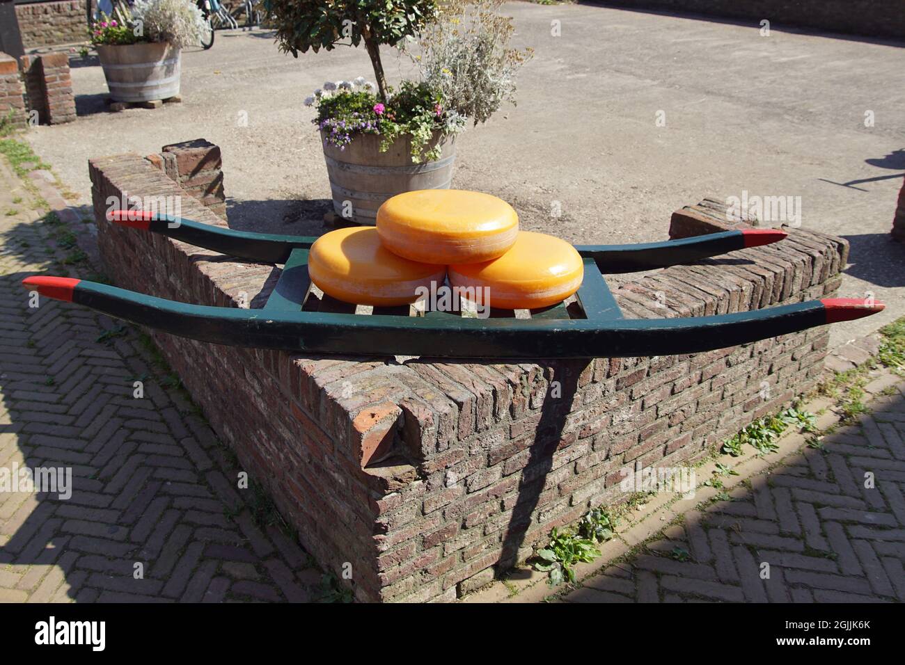 Néerlandais, petite berrie avec trois fromages ronds. Sur un mur de briques et un planteur en arrière-plan. Été, septembre, pays-Bas. Banque D'Images