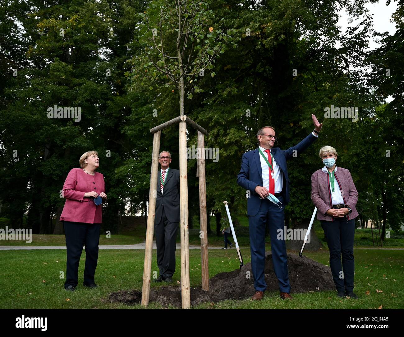 Templin, Allemagne. 10 septembre 2021. La chancelière allemande Angela Merkel (CDU, l-r), Franz-Christoph Michel, président du conseil municipal, Detlef Tabbert, maire de Templin, et l'administrateur de district Karina Dörk participent à la plantation d'un nouvel arbre de chaux dans le jardin civique. Merkel visite Templin à l'occasion du 750ème anniversaire de la ville. Credit: Monika Skolimowska/dpa-Zentralbild/dpa/Alay Live News Banque D'Images