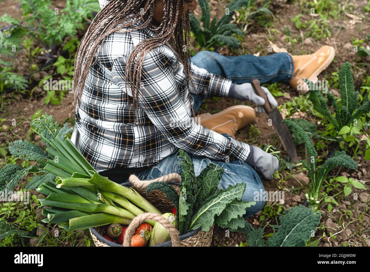 Agricultrice africaine travaillant dans les terres agricoles récoltant des légumes frais - Concept de mode de vie des agriculteurs Banque D'Images