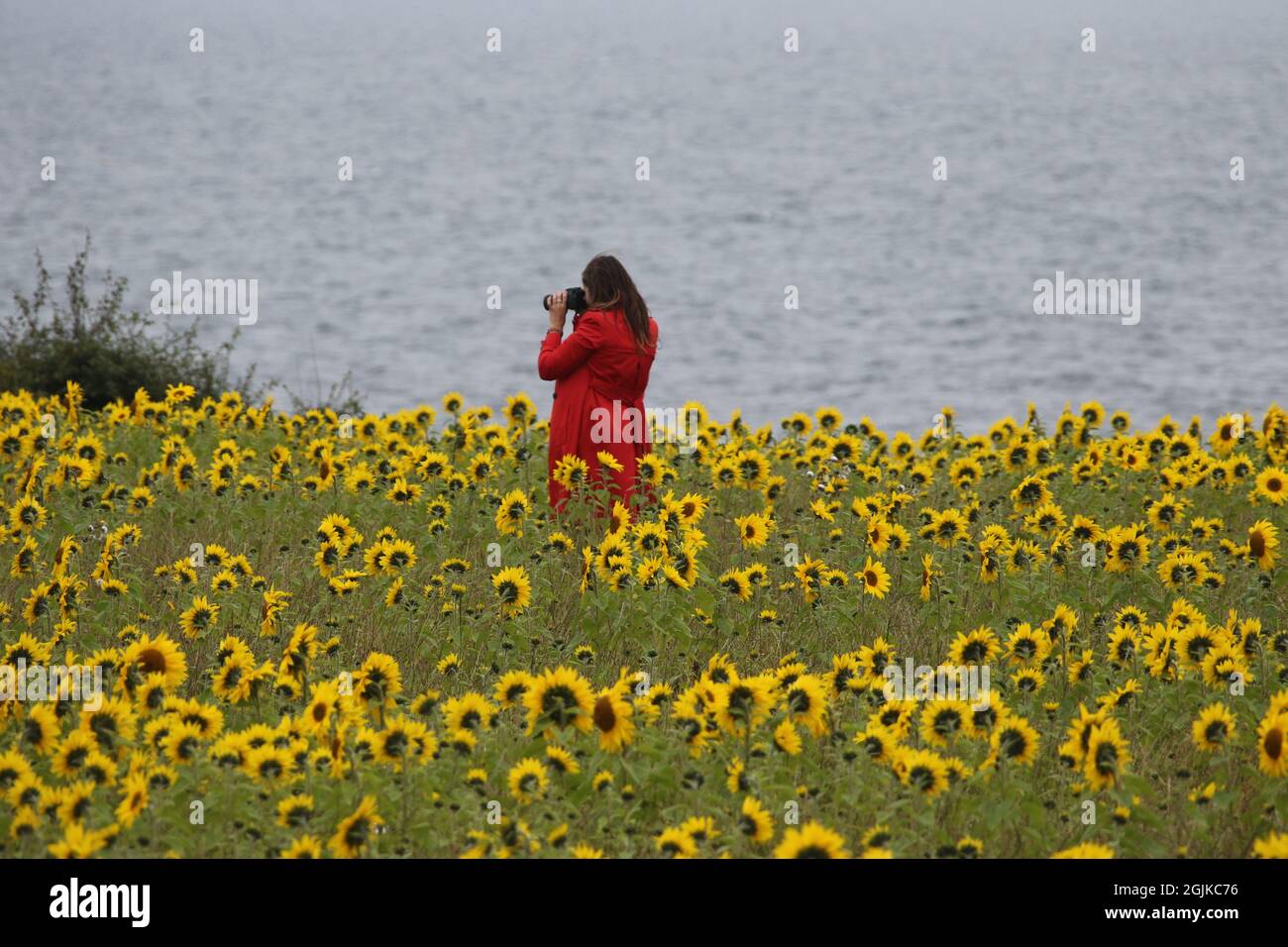 Elie, Fife, Écosse, femme mûre en imperméable rouge, marche à travers ...