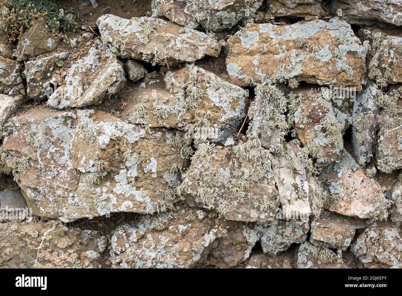 Mur en pierre sèche recouvert de mousse, photo en paysage pour un arrière-plan Banque D'Images