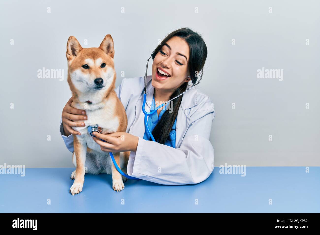 Belle femme vétérinaire hispanique vérifiant la santé de chien célébrant fou et stupéfié pour le succès avec les yeux ouverts hurlant excité. Banque D'Images