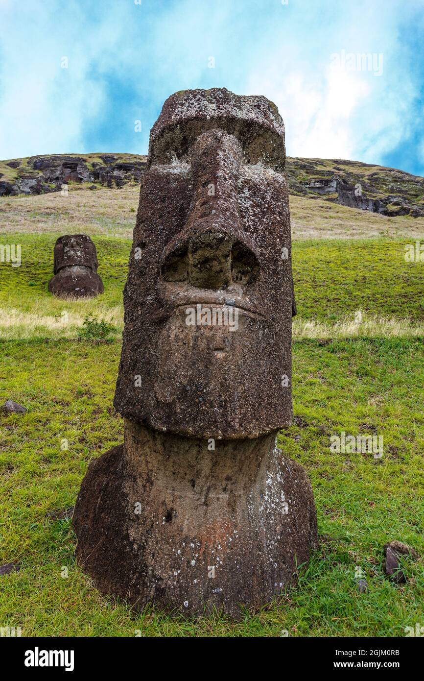 Statue de MAOI dans la carrière de Rano Raraku à l'île de Pâques, Chili, Polynésie Banque D'Images