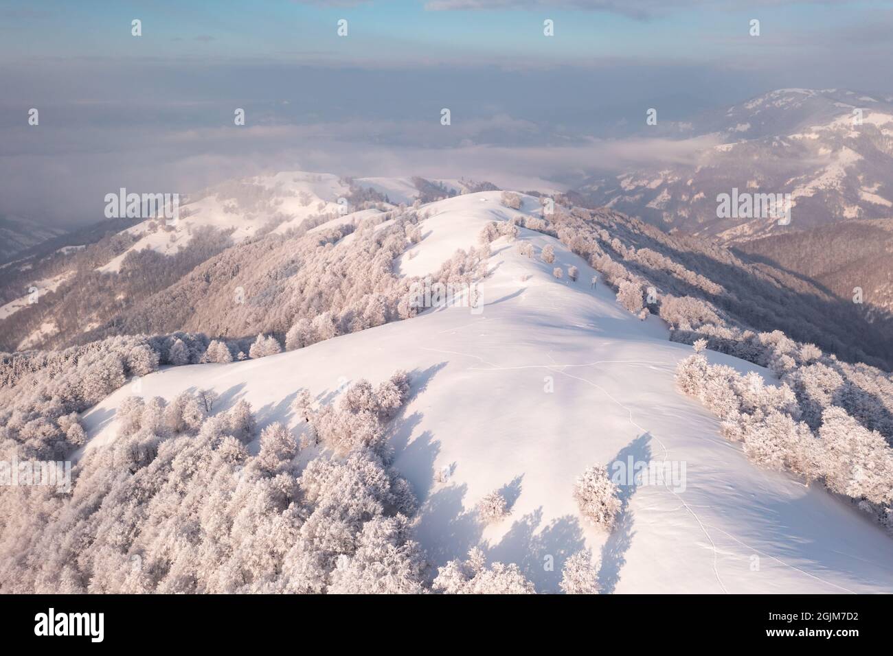 Vue aérienne incroyable sur la chaîne de montagnes, les prairies et les sommets enneigés en hiver. Forêt avec gel lumineux et lumière de lever de soleil chaude et lumineuse Banque D'Images