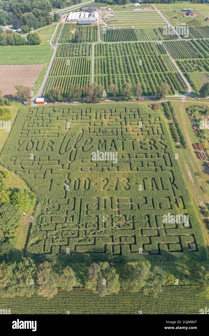 Richland, Michigan - Un labyrinthe de maïs avec un thème de prévention du suicide à Gull Meadow Farms. Banque D'Images