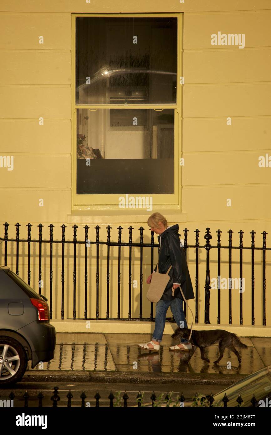 Femme qui se laque un chien ; trottoirs mouillés. Hove, East Sussex, Angleterre.échafaudage érigé sur les maisons de Brunswick Square, Hove East Sussex Angleterre Banque D'Images