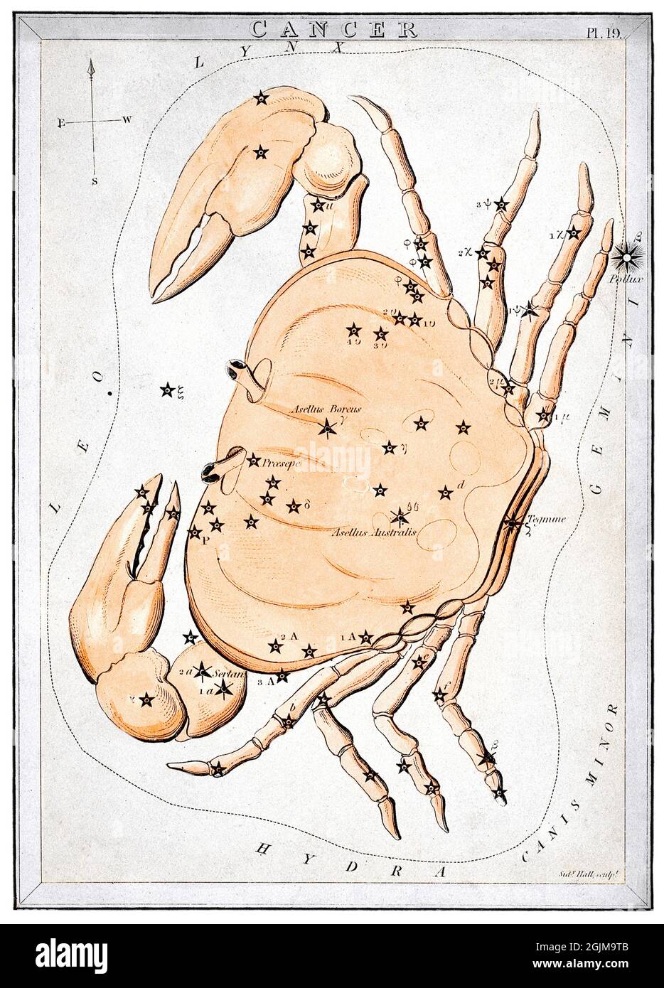 Cancer tel que décrit dans UraniaÕs Mirror, un ensemble de 32 cartes de constellation, publié pour la première fois par Samuel Leigh de The Strand, Londres, en novembre 1824. Carte 19, cancer. Une version optimisée et améliorée unique d'une illustration historique. Banque D'Images