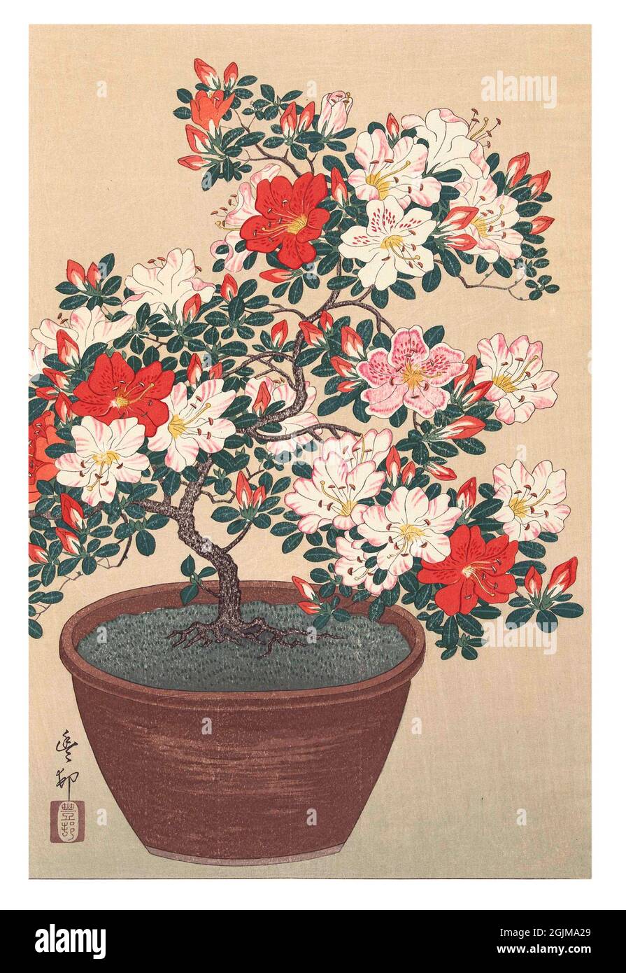 Azalée aux fleurs rouges et roses, dans un pot brun. Illustration japonaise de coupe de bois optimisée numériquement au début du XXe siècle (1920-30). Banque D'Images