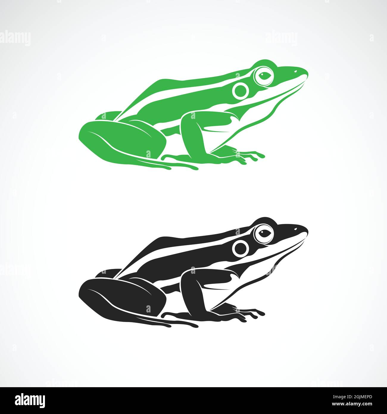 Vecteur de grenouilles vertes et de grenouilles noires sur fond blanc. Amphibiens. Animal. Icône ou logo grenouille. Illustration vectorielle superposée facile à modifier. Illustration de Vecteur