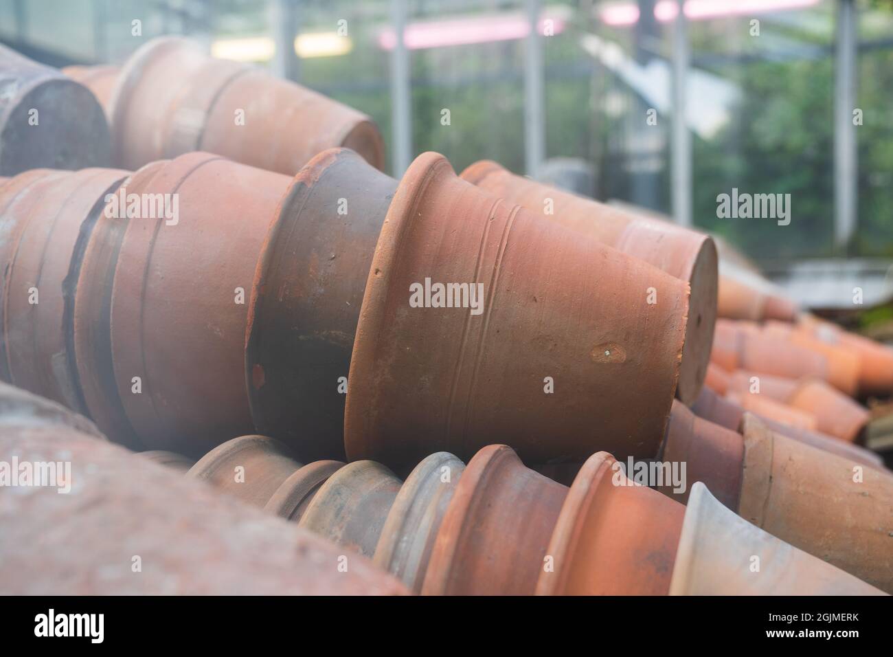 Pots de fleurs en terre cuite en terre cuite en céramique vide à vendre dans un magasin de détail, cultivez des plantes de maison dans la verdure Banque D'Images