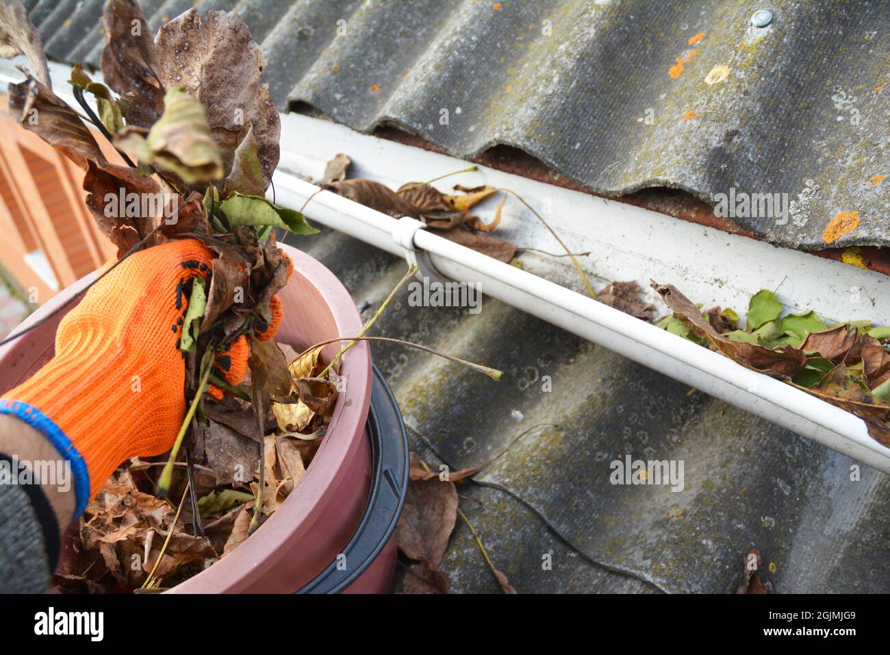 Les gouttières de pluie nettoient les feuilles. Nettoyage des gouttières de toit en amiante. Banque D'Images