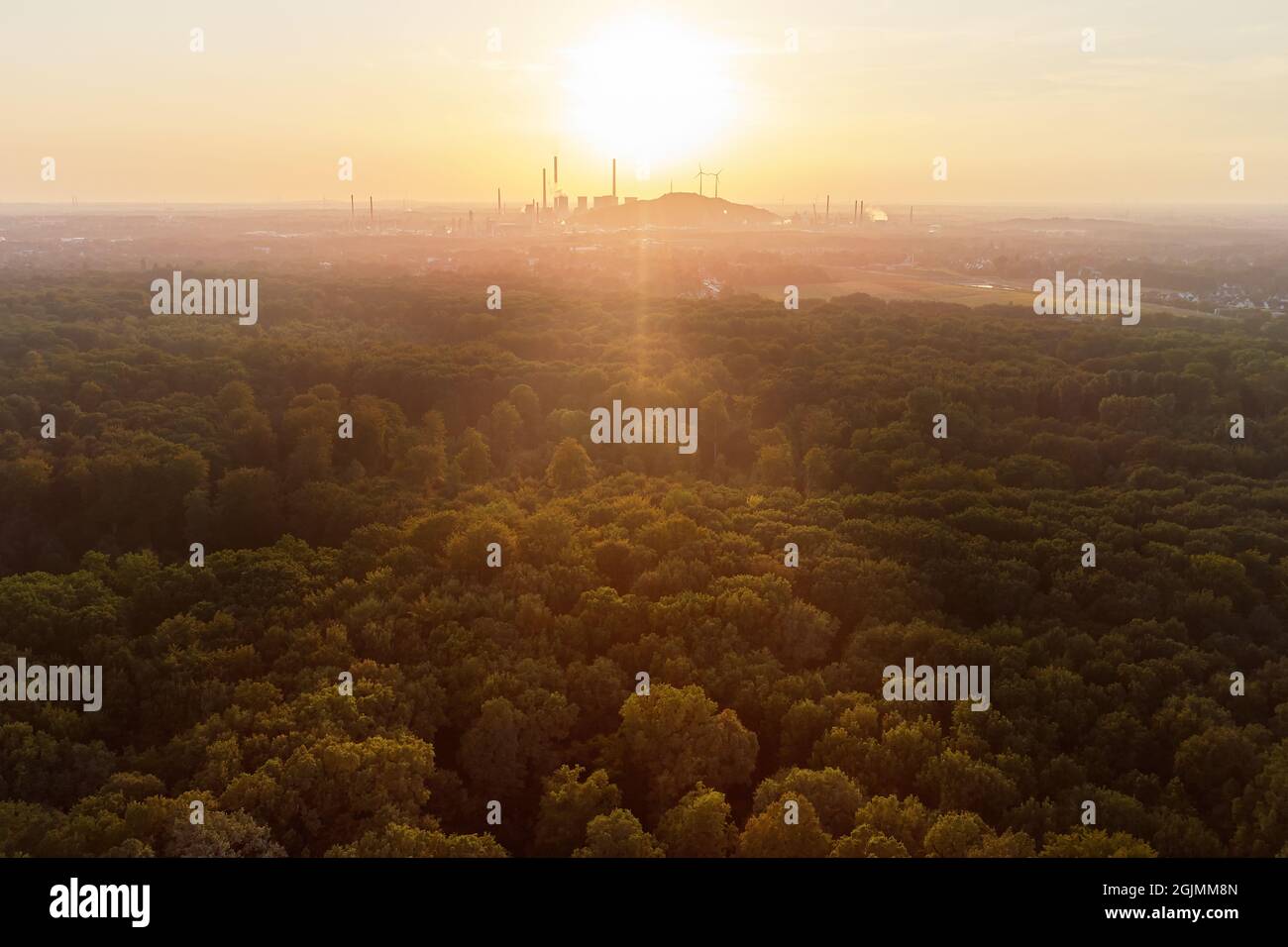 Vue de drone sur la forêt et les arbres et une zone industrielle pendant le coucher du soleil dans la région de ruhr en Allemagne Banque D'Images