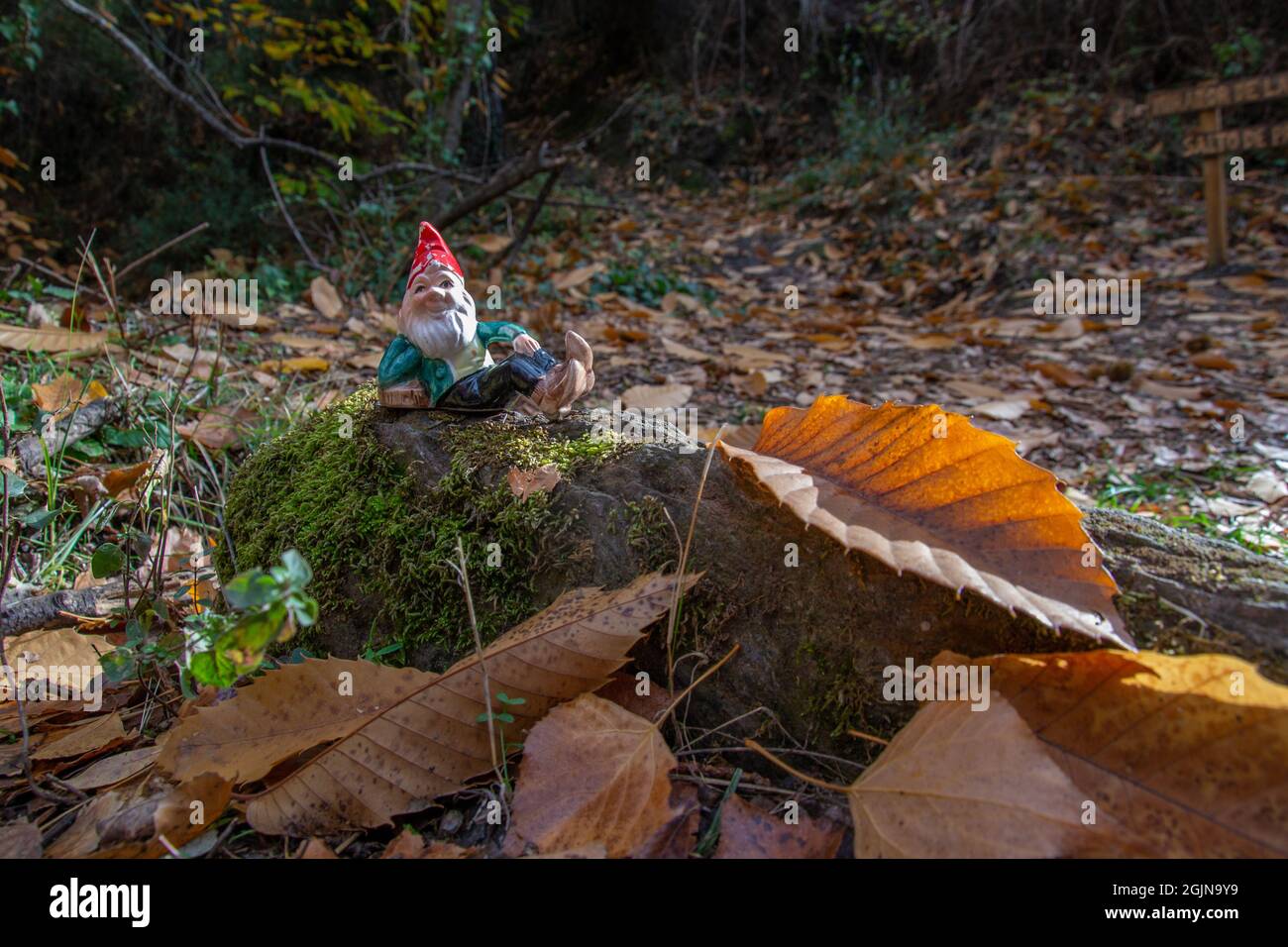 gnome allongé sur une roche qui a de la mousse entourée de feuilles automnales dans l'Alpujarra Banque D'Images