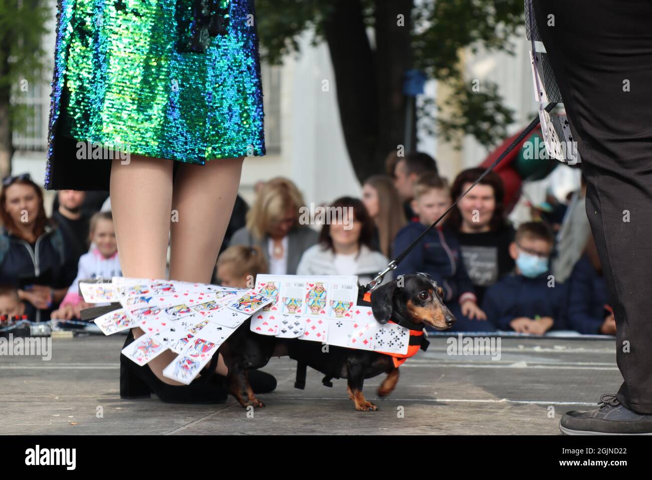 X spectacle canin de saucisses à Saint-Pétersbourg, Russie Banque D'Images