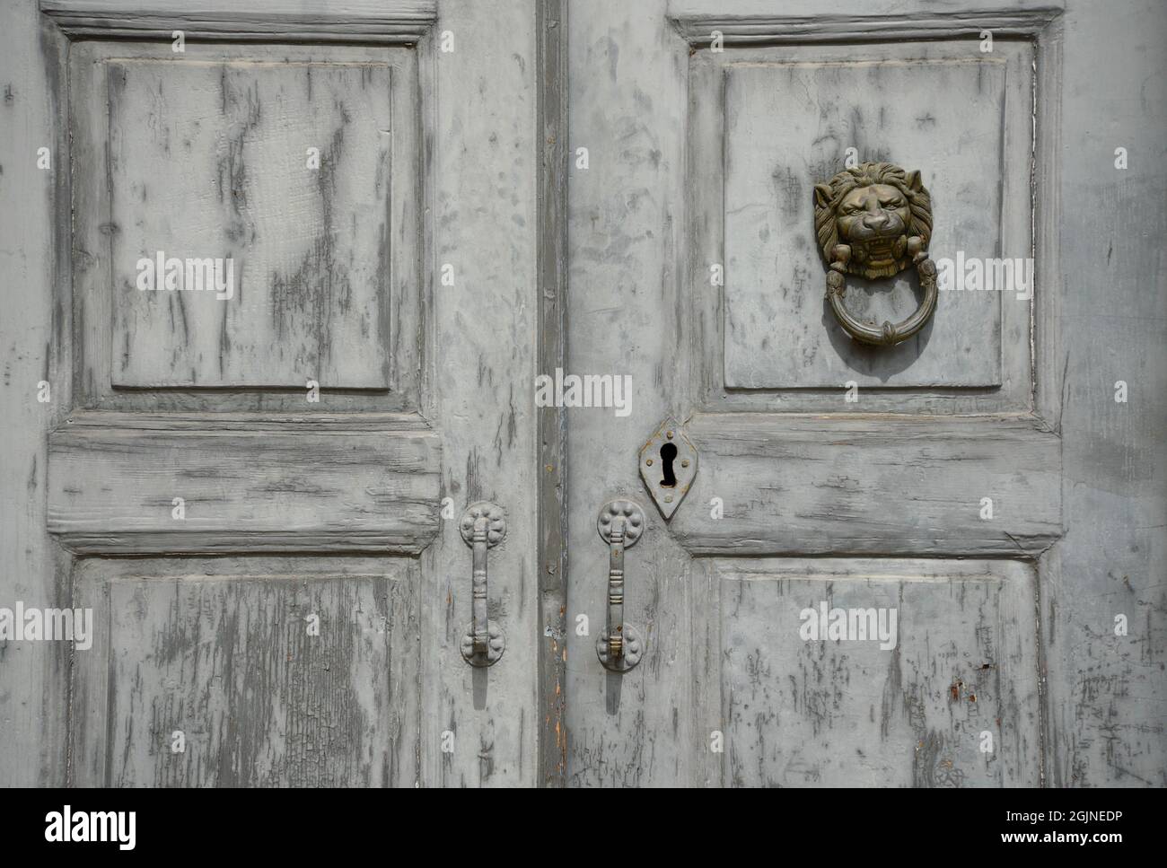 Ancienne porte d'entrée en bois gris patiné avec une ancienne tête de lion en laiton à Galaxidi, Phosis Grèce. Banque D'Images