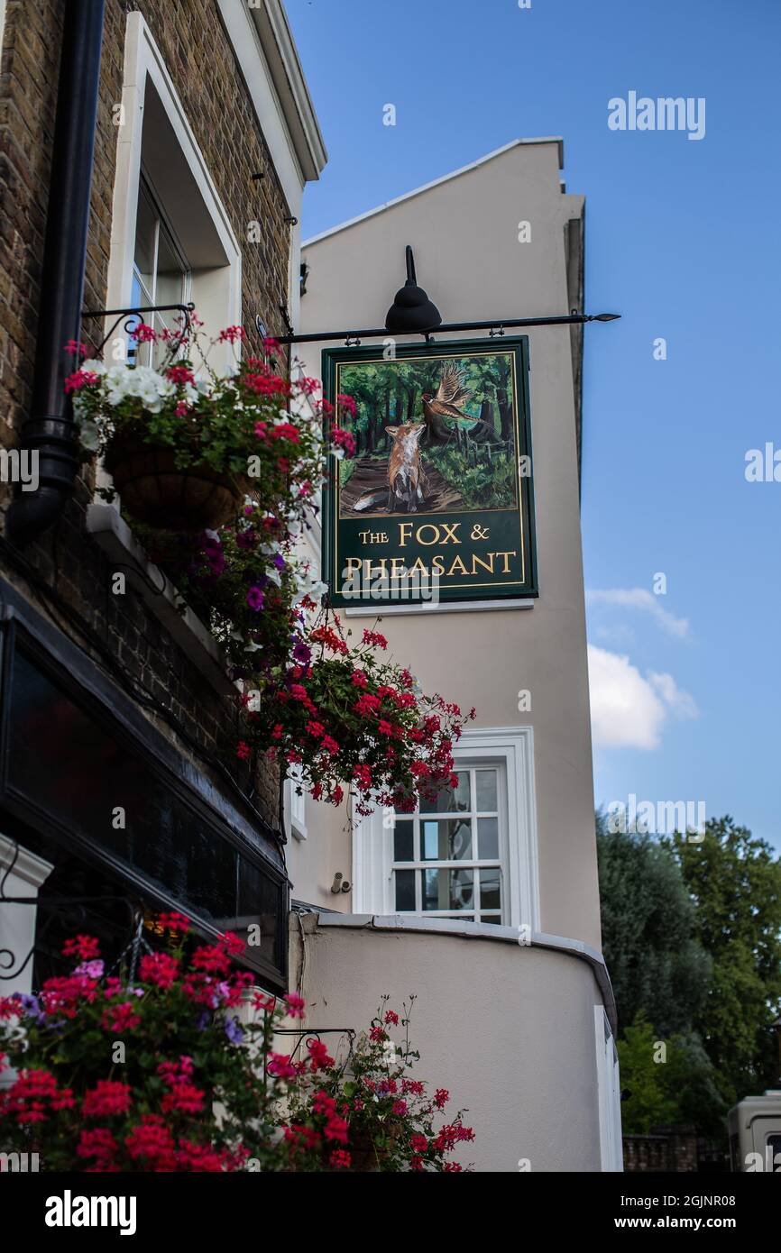 Vue extérieure d'un pub anglais traditionnel le Fox et le Pheasant à Chelsea, Londres, Royaume-Uni Banque D'Images