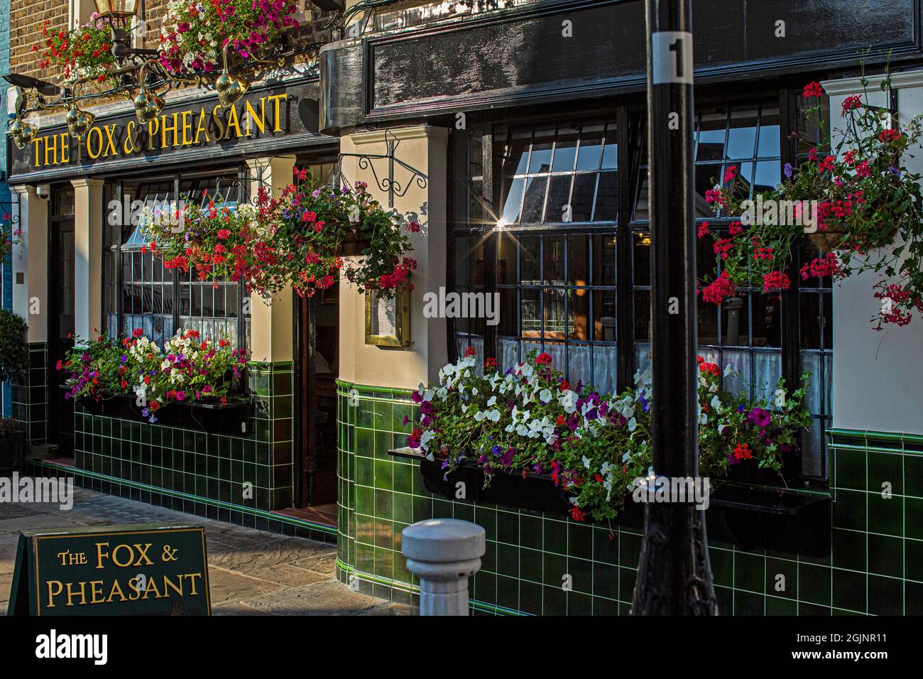 Vue extérieure d'un pub anglais traditionnel le Fox et le Pheasant à Chelsea, Londres, Royaume-Uni Banque D'Images