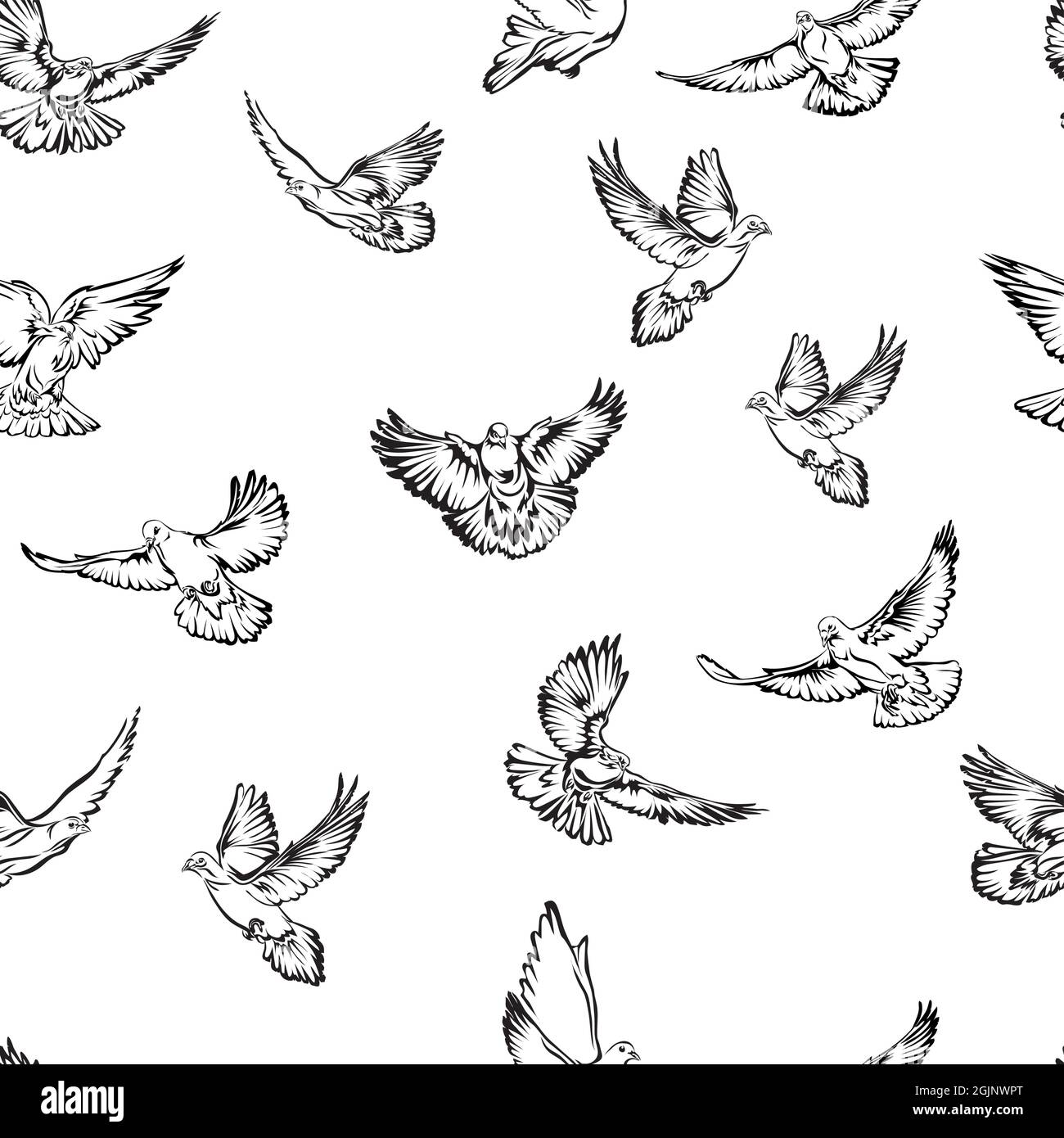 Dove, image noir et blanc Dove volante, image d'options, vecteur, dessin, illustration, motif, image de colombes volantes, motif pour le design et la décoration Illustration de Vecteur