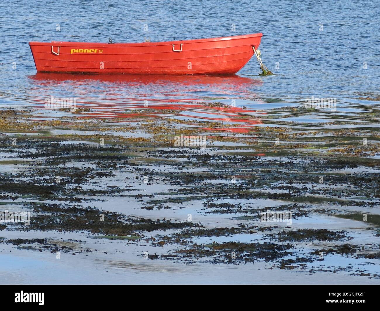 Gros plan d'un bateau à rames rouge vif dans les eaux bleues claires et soleil nocturne du Loch Melfort, Argyll & Bute, dans l'ouest de l'Écosse. Banque D'Images