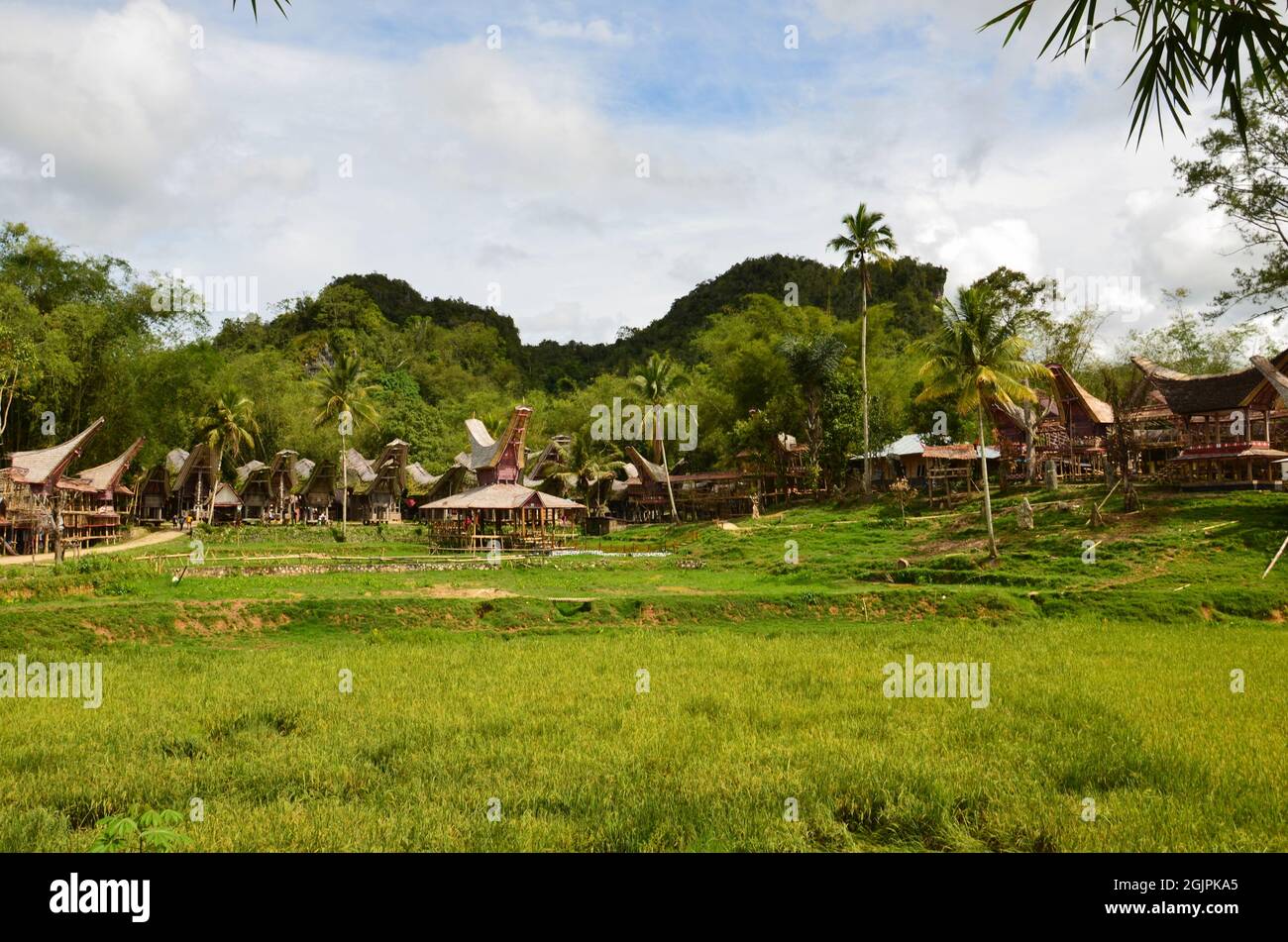 Village de Toraja dans la région montagneuse de Sulawesi Sud, Indonésie. Avec des maisons ethniques de tongkonan Banque D'Images