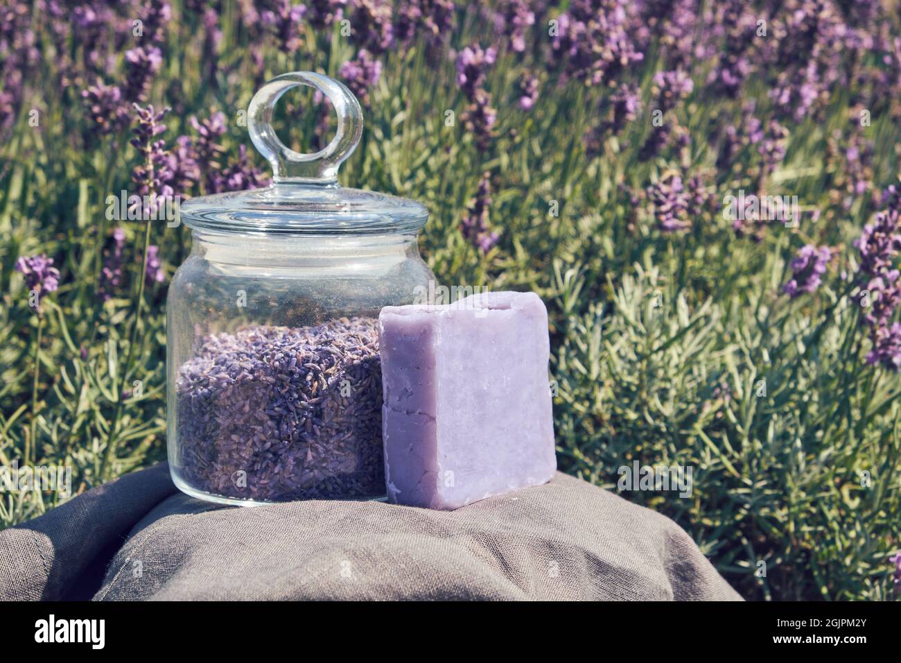 Barre de savon de lavande biologique maison et pot en verre de fleurs de lavande sèches, champ de lavande fleuri sur fond. Banque D'Images