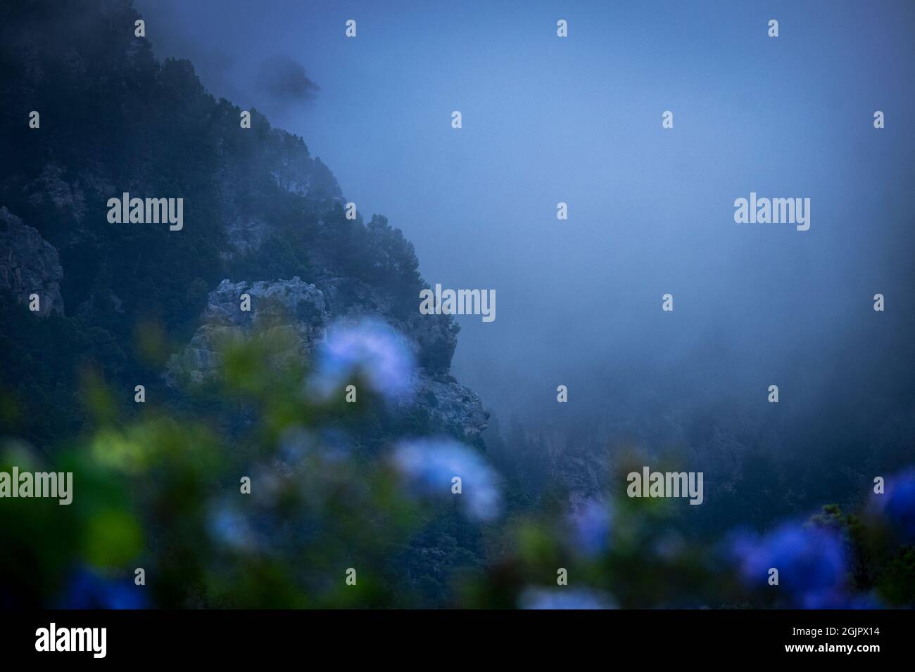 Climat pluvieux et brumeux sur un flanc de montagne dans la Serra de Tramuntana, Majorque, Espagne Banque D'Images