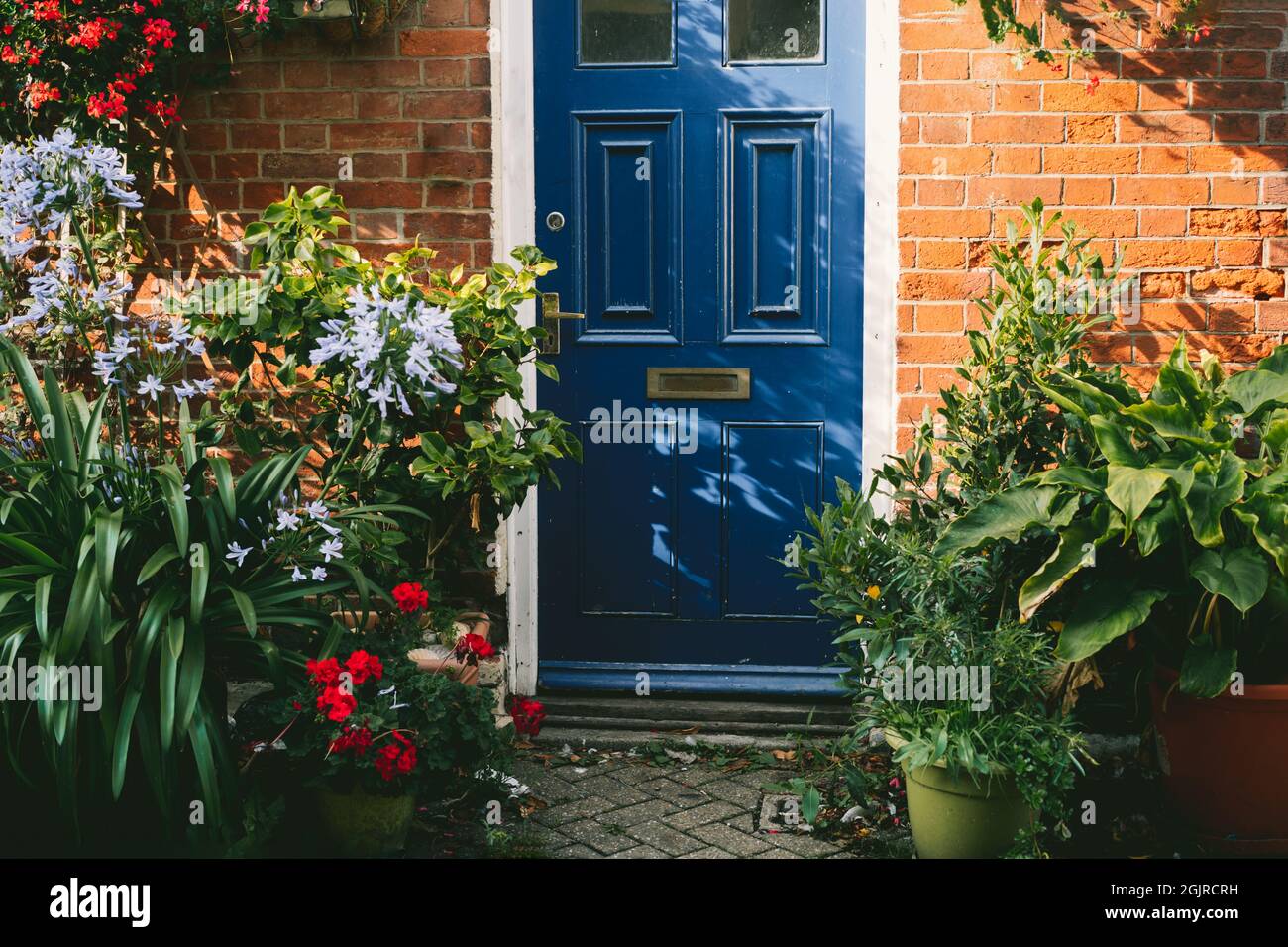 Porte d'entrée bleue et murs de briques façade d'un magnifique cottage avec de nombreuses fleurs en pot. Le petit jardin en face de la maison, le jardinage hobb Banque D'Images