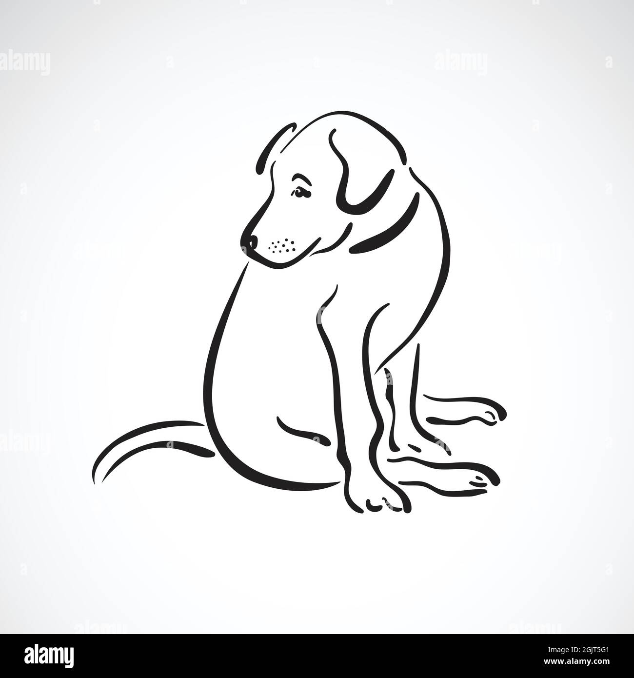 Dessiner Un Chien Assis Facile Vecteur de chien assis (Labrador Retriever) sur fond blanc, PET. Animaux.  Illustration vectorielle superposée facile à modifier Image Vectorielle  Stock - Alamy