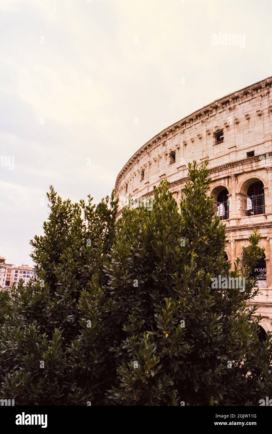 Détails de l'amphithéâtre du Colisée à Rome pendant la journée, tourné avec la technique du film analogique Banque D'Images