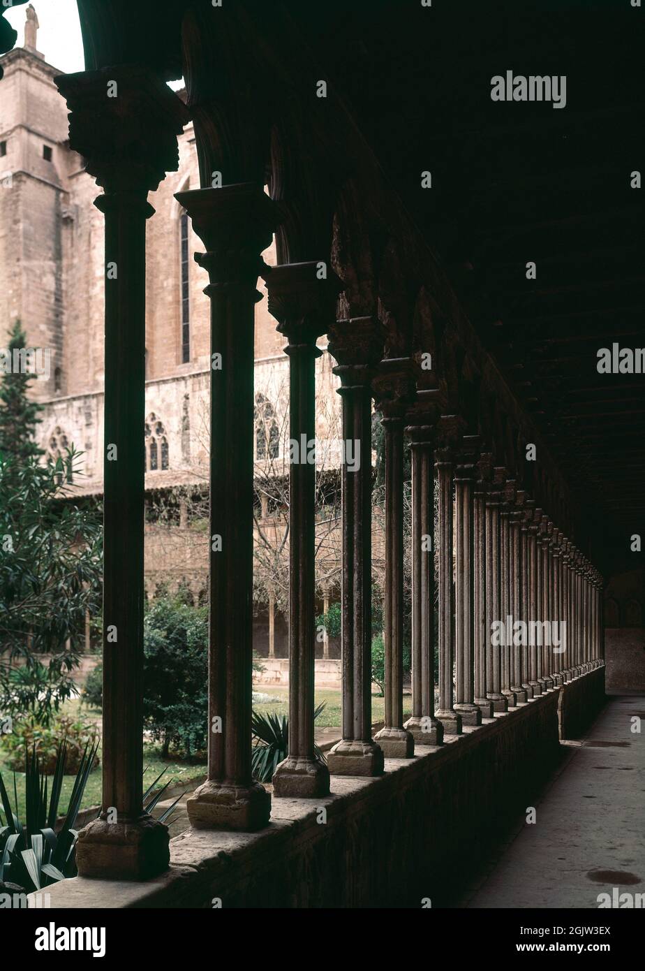 GALERIA DEL CLAUSTRO DE LA IGLESIA DE SAN FRANCISCO DE PALMA DE MALLORCA CONSTRUIDO ENTRE LOS SIGLOS XIV Y XV LIEU: IGLESIA DE SAN FRANCISCO. Palma. MAJORQUE. ESPAGNE. Banque D'Images