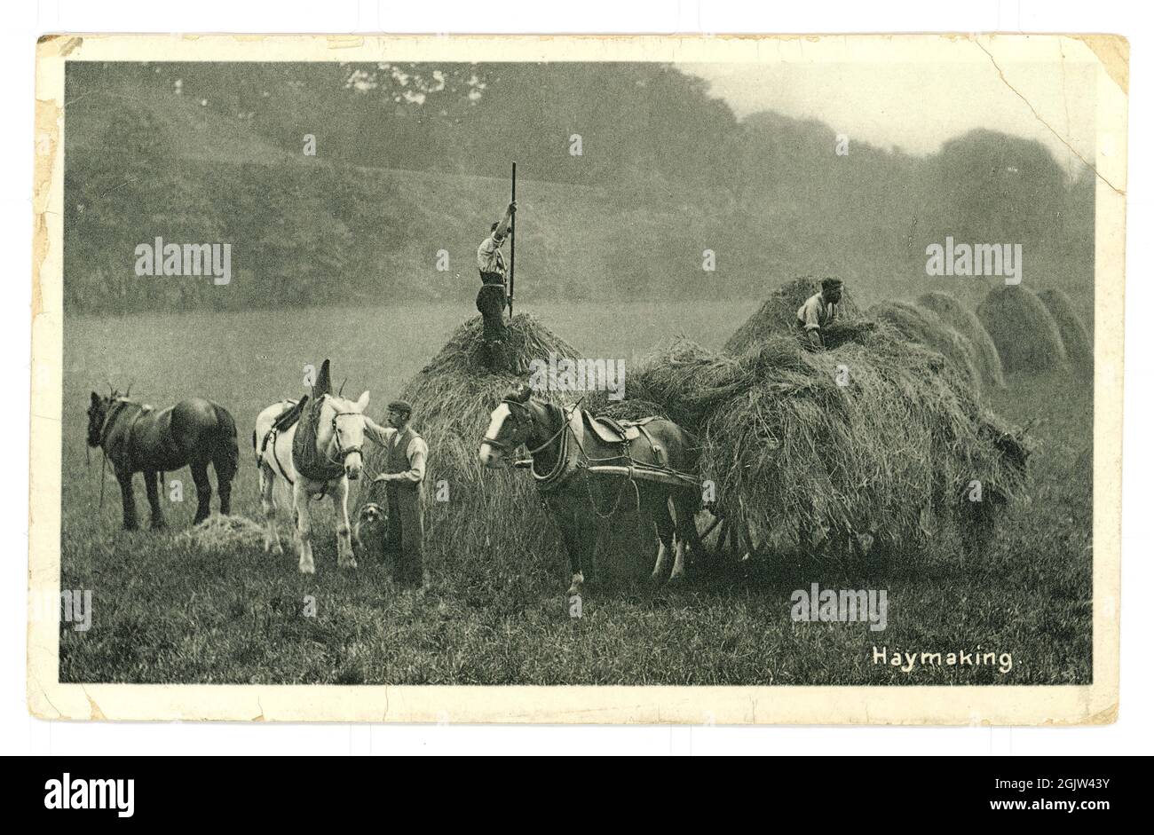 Original charmant et pittoresque quartier de l'époque édouardienne, début des années 1900 carte postale de voeux de la fabrication de foin - une idylle rurale, posté du village de Kilham, East Riding of Yorkshire, Royaume-Uni daté de mai 1907 Banque D'Images