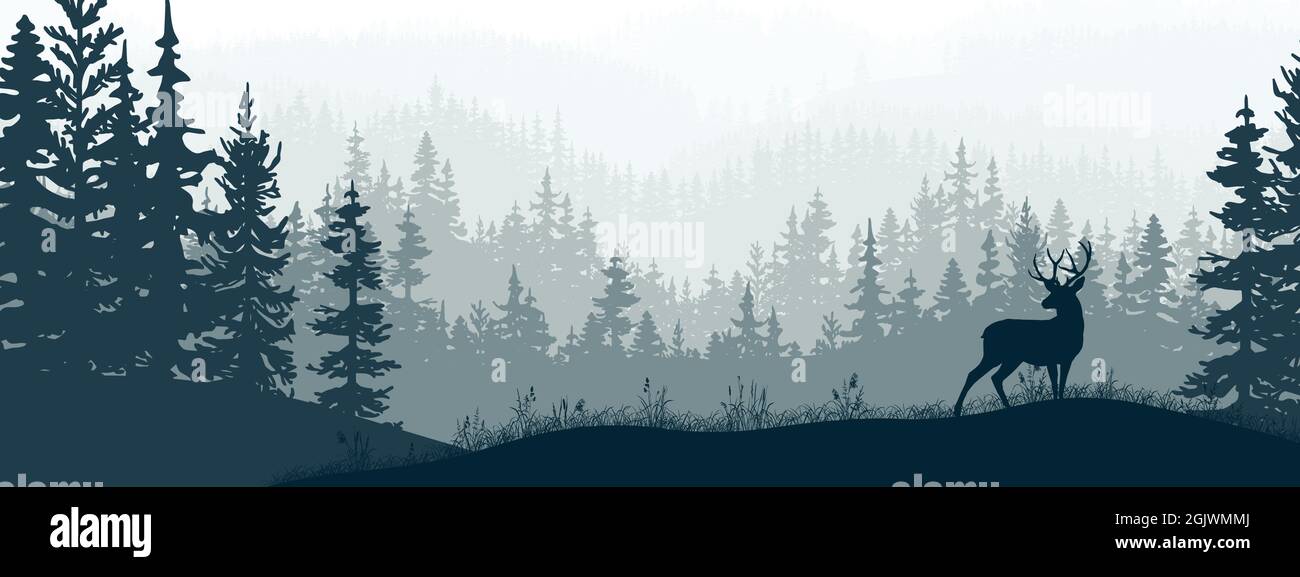 Bannière horizontale de forêt et de prairie, silhouettes d'arbres et d'herbe. Paysage magique et brumeux, brouillard. Illustration bleue et grise. Signet. Illustration de Vecteur