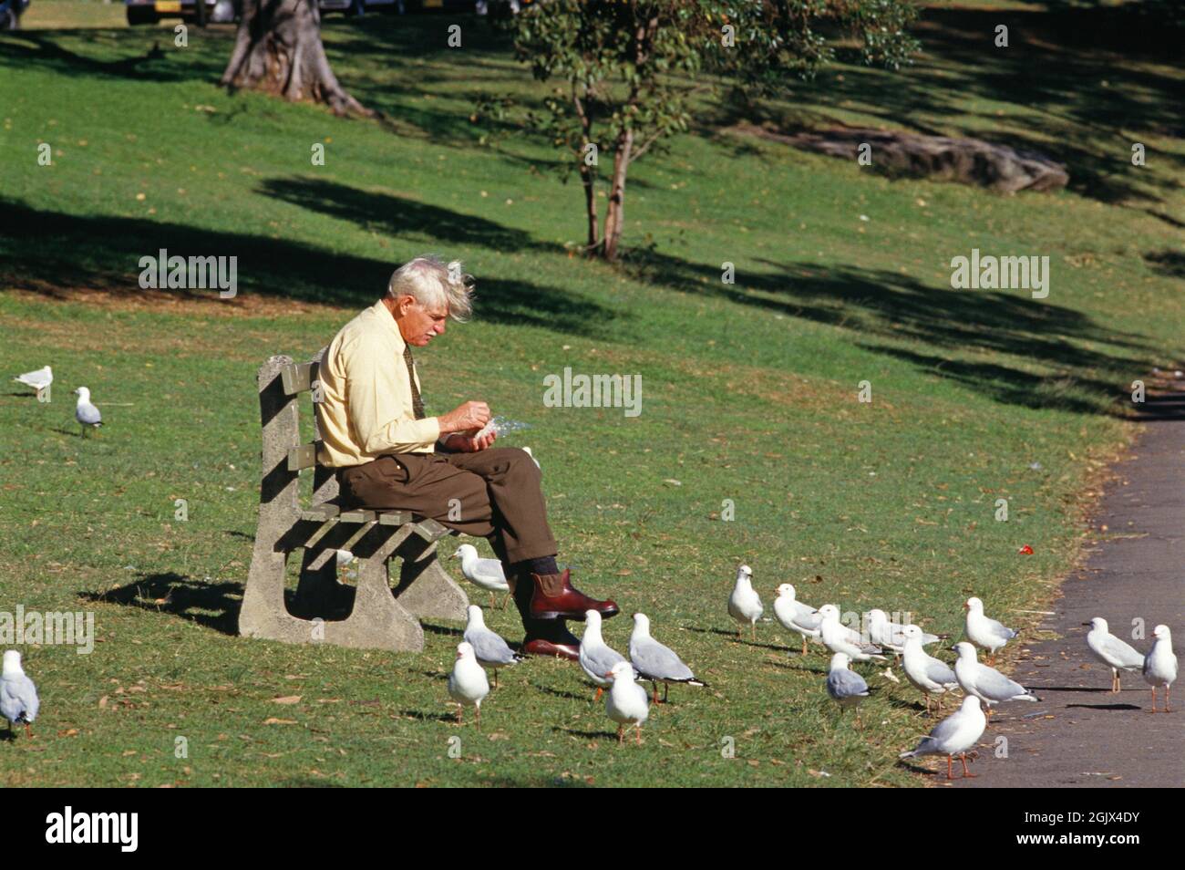 Vieil Homme Assis Seul Sur Un Banc Banque De Photographies Et Dimages