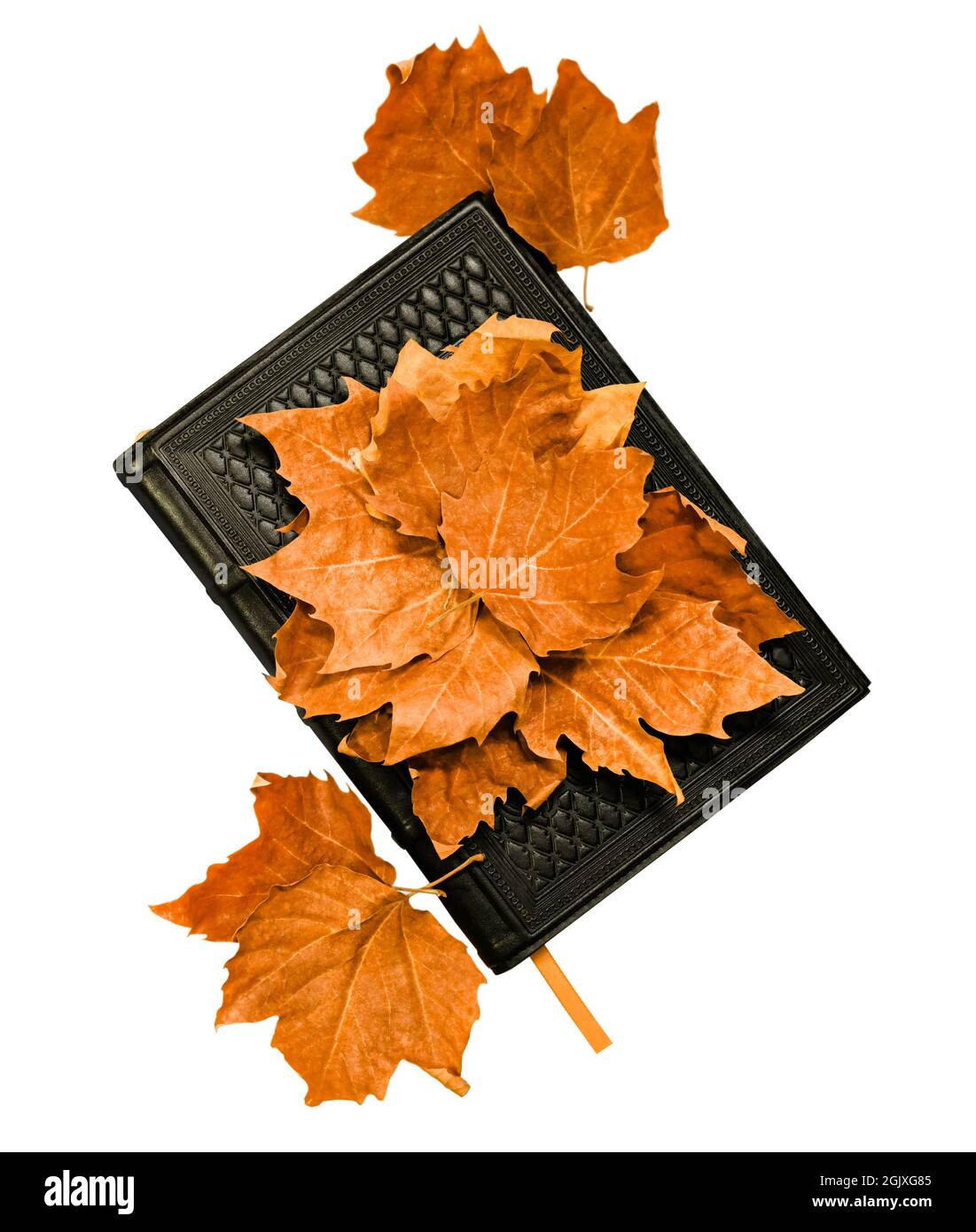 Carnet en cuir et feuilles séchées rouges d'automne. Isolé sur un fond blanc. Banque D'Images